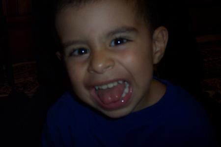 rayane